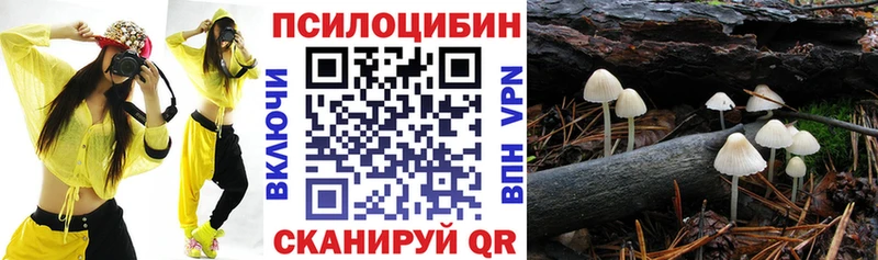 Галлюциногенные грибы Cubensis  купить закладку  мега ссылки  Томск 