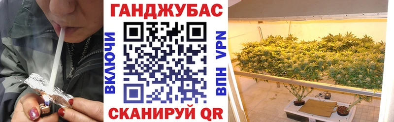 Бошки Шишки ГИДРОПОН Томск